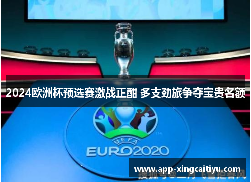2024欧洲杯预选赛激战正酣 多支劲旅争夺宝贵名额